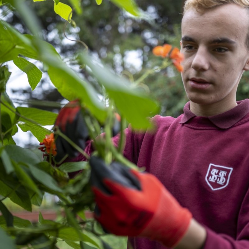 Student gardening