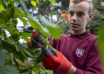 Student gardening